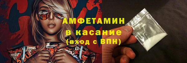 шишки Аркадак