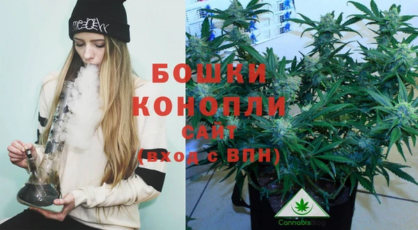 шишки Аркадак
