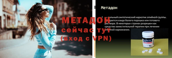 шишки Аркадак