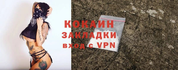 шишки Аркадак