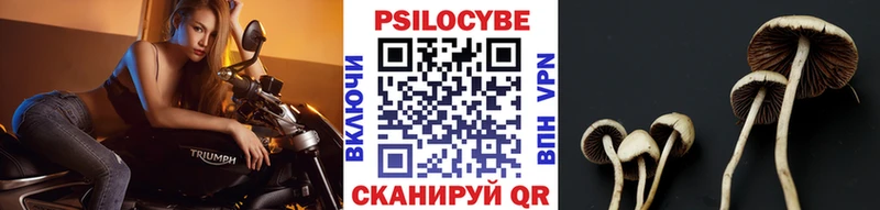 Галлюциногенные грибы ЛСД Аркадак