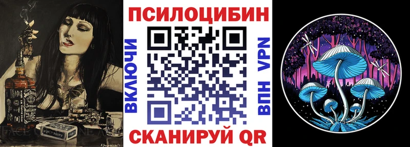 наркотики  Аркадак  ОМГ ОМГ tor  Псилоцибиновые грибы Psilocybine cubensis 
